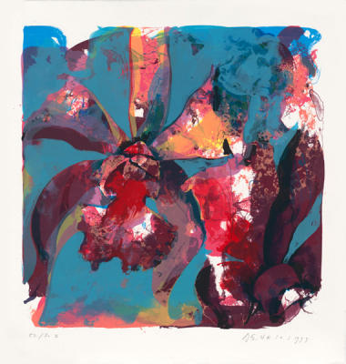 Orchid Hapuna (1999) art print by Paul De Vries