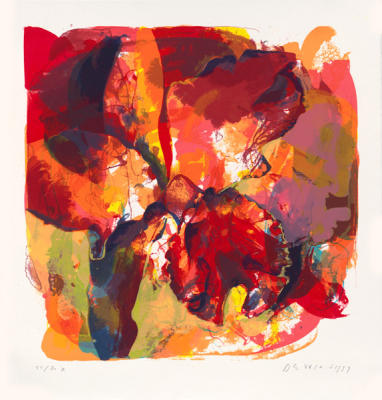 Orchid Pele (1999) art print by Paul De Vries