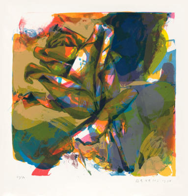 Rose Holualoa (1998) art print by Paul De Vries