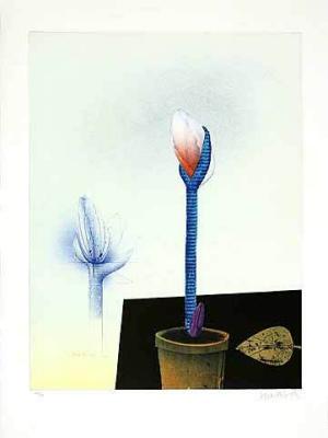Amarillis mit Goldblatt art print by Paul Wunderlich