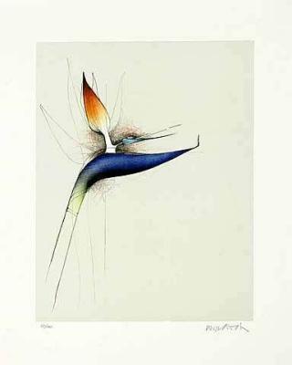 Strelizia art print by Paul Wunderlich