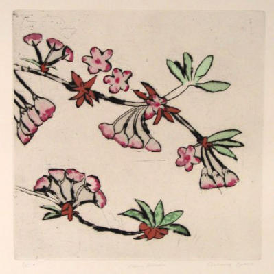 Cherry Blossom art print by Richard Spare