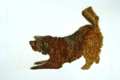Woof art print by Sonia Rollo