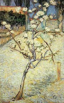 Bl�hender Birnbaum art print by Vincent Van Gogh