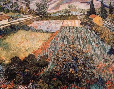 Mohnfeld art print by Vincent Van Gogh