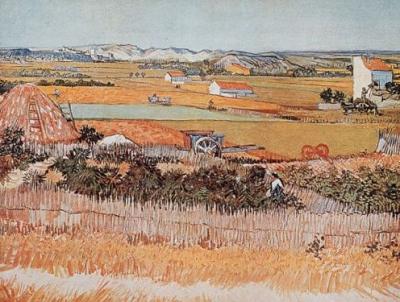 Vegetable Garden art print by Vincent Van Gogh