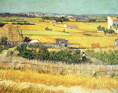 Vegetable Garden art print by Vincent Van Gogh