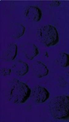 RE 15, Blaues Schwammrelief art print by Yves Klein