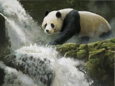 Rushing Waters art print by Adrian Rigby