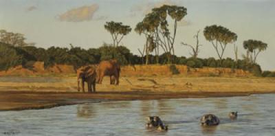 Evening on the Galana art print by Anthony Gibbs