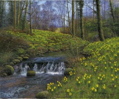 Golden Beck art print by Bill Makinson