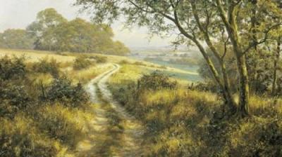 Evening on the Downs art print by David Dipnall