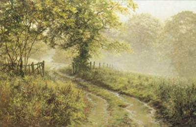 Puddles art print by David Dipnall