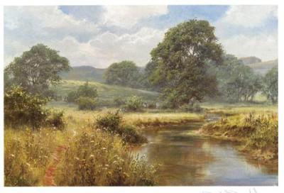 Seasons - Summer art print by David Dipnall