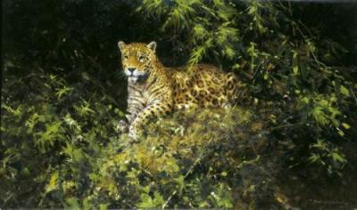 Jaguar art print by David Shepherd