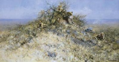The Best Spots on the Hill art print by David Shepherd