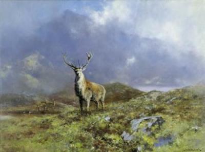 The Prince of Rannoch Moor art print by David Shepherd