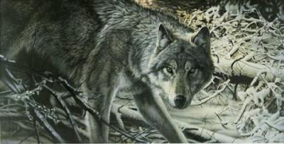 Freeze Frame art print by Geoff Taylor