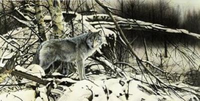 Winter Pause art print by Geoff Taylor
