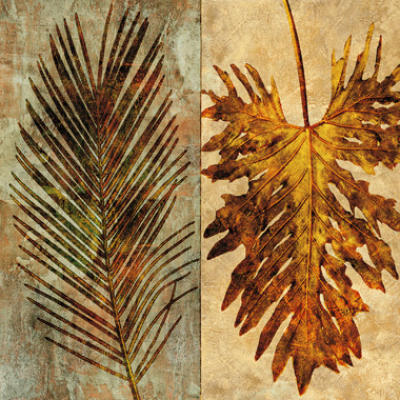 Palm Pairs II