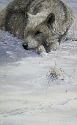 Cold Comfort art print by Julie Askew