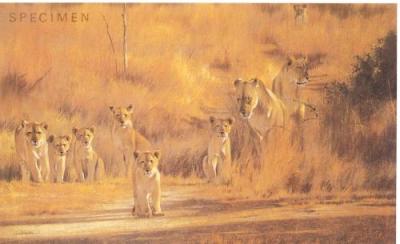 Baby Sitting art print by Kim Donaldson
