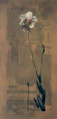 Asian Orchids I art print by Dennis Carney