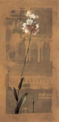 Asian Orchids II art print by Dennis Carney