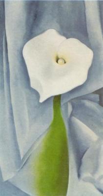 Calla Lily on Grey, 1928 art print by Georgia O'Keeffe