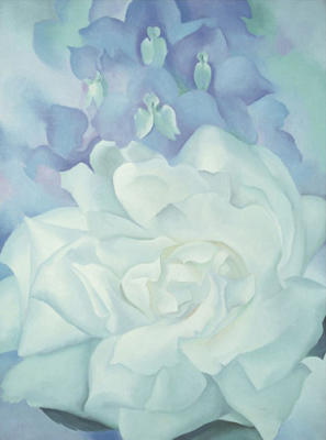 White Rose with Larkspur No. 2, 1927 art print by Georgia O'Keeffe