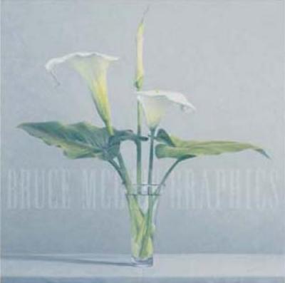 Calla Lilies art print by James Moore