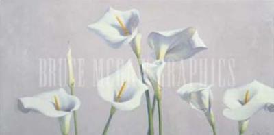 Seven Callas and a Bud art print by James Moore