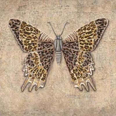 Leopard Butterfly art print by Jennette Brice