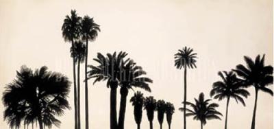 Sundown Silhouette art print by John Douglas