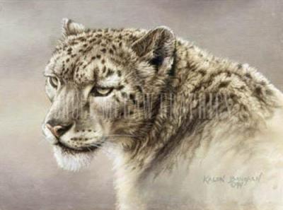 Serenity art print by Kalon Baughan