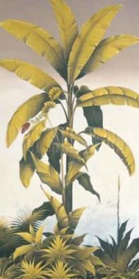 Antique Palm II art print by Kevin McPherrin