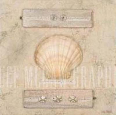 Fan Shell Journal art print by Leslie Mueller