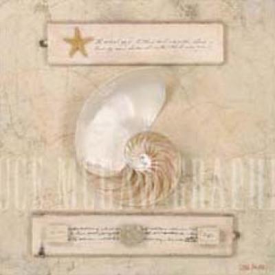 Nautilus Journal art print by Leslie Mueller