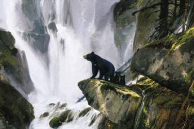 In the Mist art print by Michael Coleman