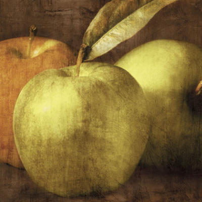Apples art print by Caroline Kelly