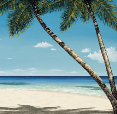 Seashore Serenity II