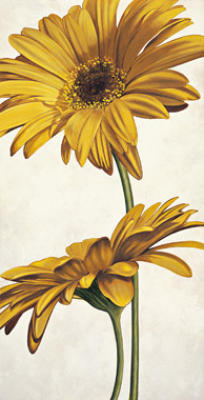 Armonia in giallo art print by Eva Barberini