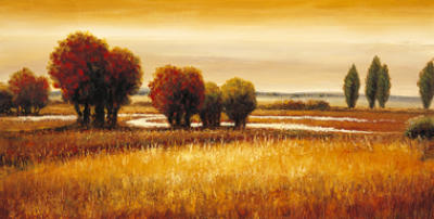 Golden Reflections I art print by Gregory Williams