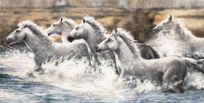 Running Wild art print by Ralph Steele