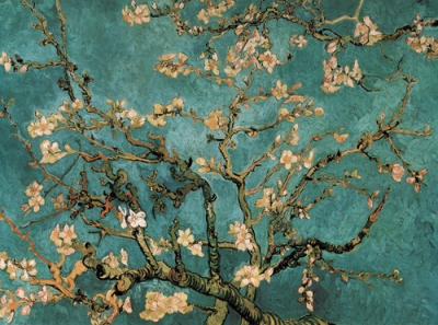 Almond Branches In Bloom, San Remy 1890 art print by Vincent Van Gogh