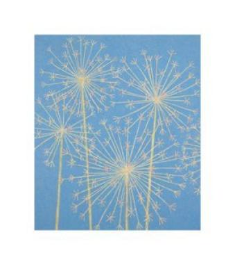 Allium art print by Abigail McLellan
