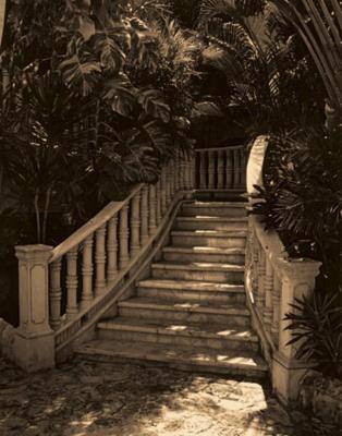 Garden Staircase art print by Alicia Soave