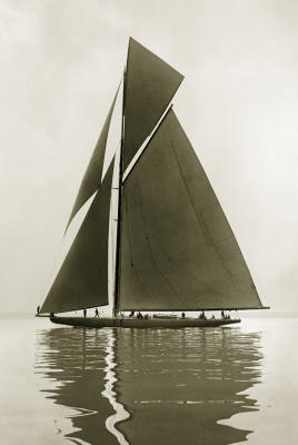 Shamrock IV, 1914