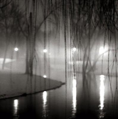 Willow Branches, River Rouge art print by Bill Schwab