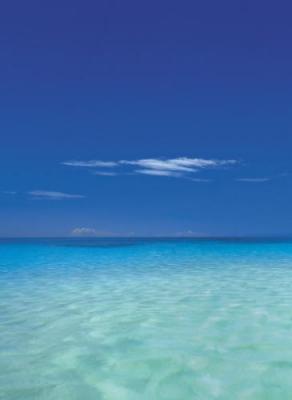 Barbuda II art print by Chris Simpson